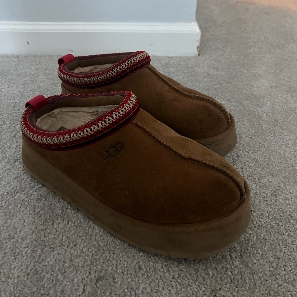 Platform Chestnut Tasman Uggs